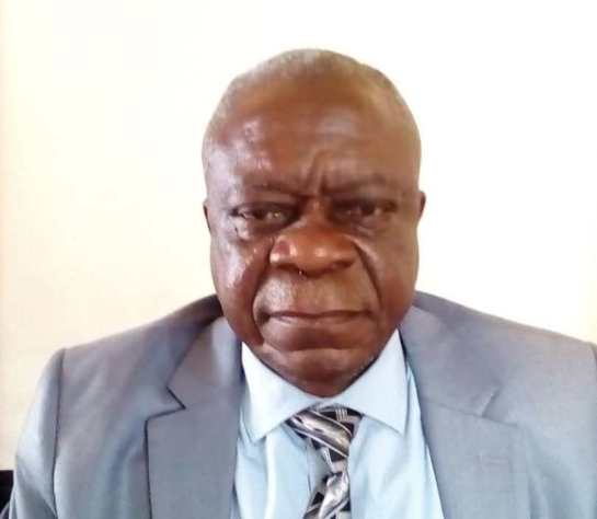 Kasaï oriental :  » Rien ne bloque la descente de bulldozer sur le site DAIPN « ( Honoré Mubenga)