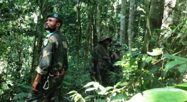 RDC : le contingent sud-africain déjà sur le sol congolais pour appuyer les FARDC contre la rebellion du M23
