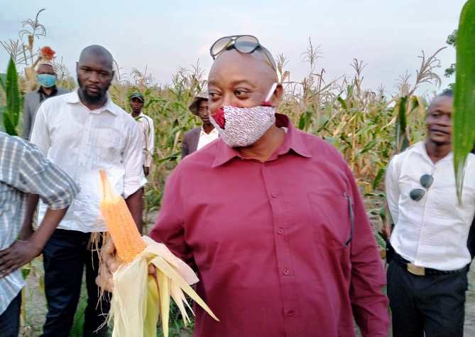 Kasaï oriental : Jean Maweja s’apprête à déverser sur le marché 300 tonnes des maïs de son champ