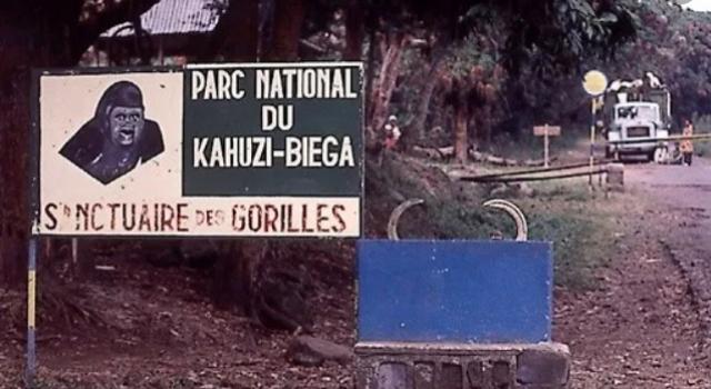 RDC-SUD-KIVU : Attaque d’un convoi du ministre provincial de l’agriculture au PNKB, deux ONG exigent des excuses aux responsables du Parc