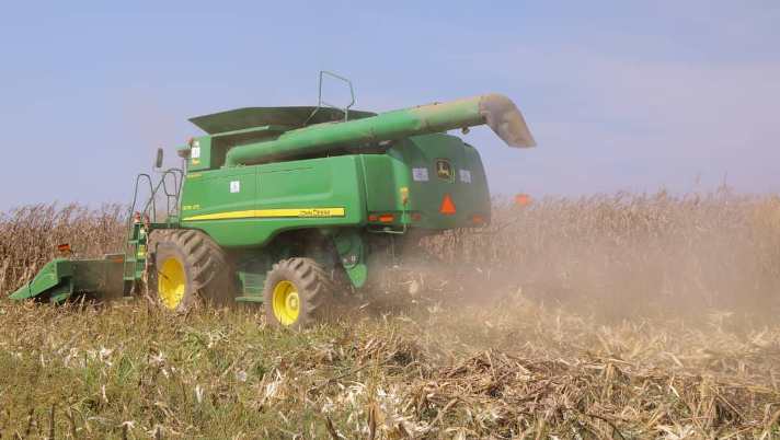 Kasaï oriental : la récolte des maïs sur 1600 hectares à Nkuadi sera bientôt réalisée