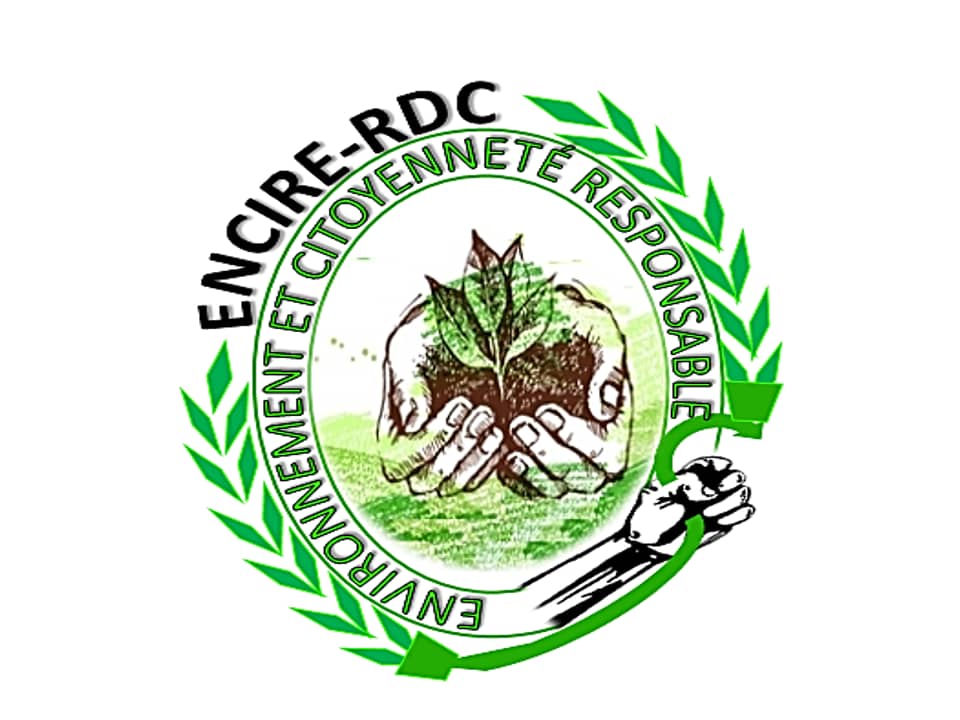 RDC- Kasaï central : ENCIRE-RDC dénonce la destruction des arbres sur la ville de kananga