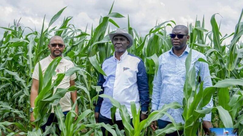 Haut Katanga:  le ministre national de l’agriculture Didier M’zinga qualifie la province d’un exemple de l’agriculture en RDC