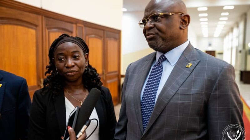 RDC : la FBN Bank présente ses projets d’investissement à Félix Tshisekedi