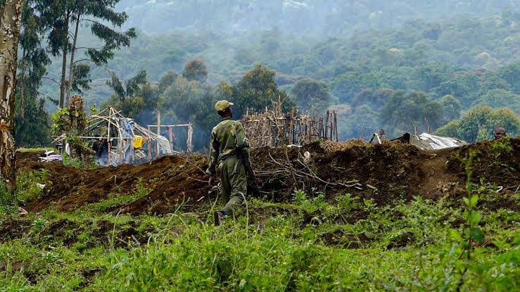 RDC: le gouvernement considère le M23 comme un groupe terroriste et convoque l’ambassadeur du Rwanda