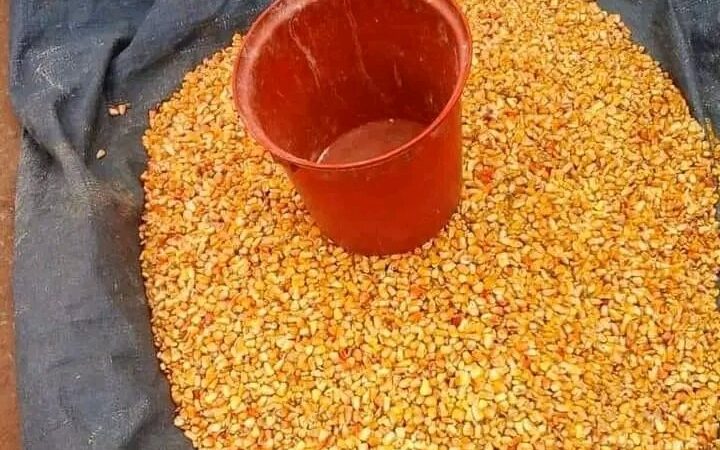 Kasaï central : hausse du prix de maïs à Tshibala, une mesurette négociée à  7000 FC