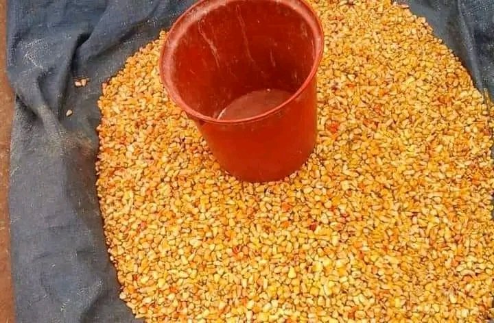 Kasaï central : hausse du prix de maïs à Tshibala, une mesurette négociée à  7000 FC
