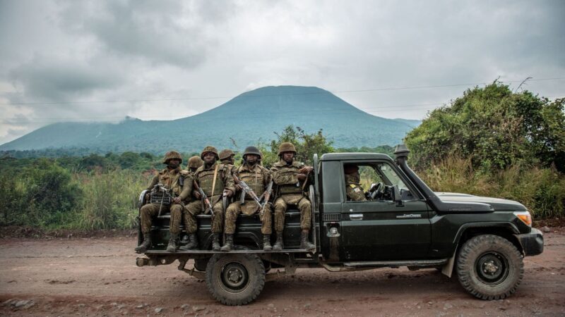 Nord-Kivu : certains rebelles du M23 capturés par les FARDC à Ntamugenga, en territoire de Rutshuru