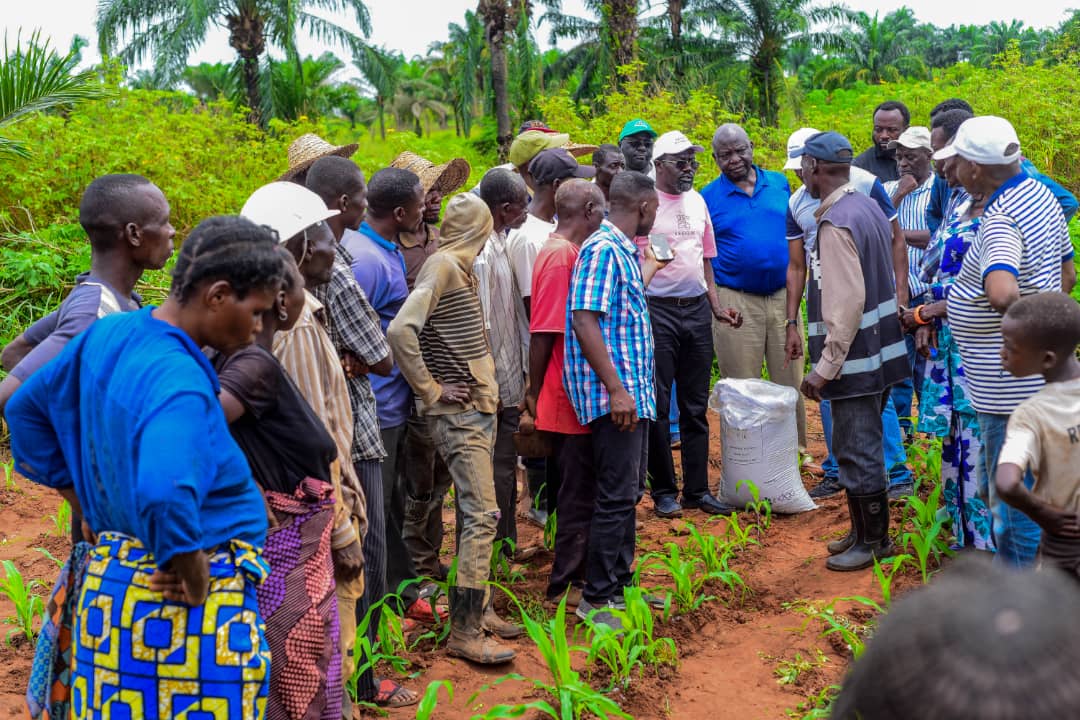 Kasaï oriental : après les semences améliorées de maïs, IITA et BAB distribuent les engrais aux paysans de Nkwadi