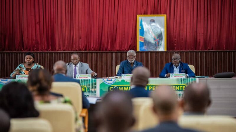 Ass.Nat: le ministre du plan Christian Mwando Nsimba s&rsquo;explique sur les contours du PDL 145 territoires