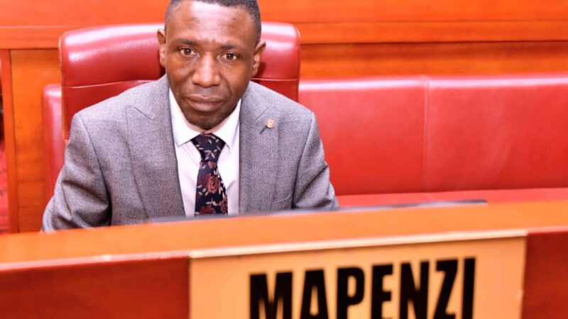 RDC : le Sénateur Mapenzi Maneno salue la loi sur la «réserve armée» et invite le Gouvernement à résoudre les problèmes majeurs des FARDC
