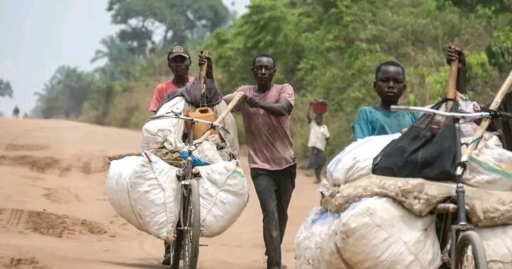 Kasaï central : la solution ingénieuse des Bayanda, des cyclistes héros qui sauvent la ville de Kananga de la pénurie de maïs