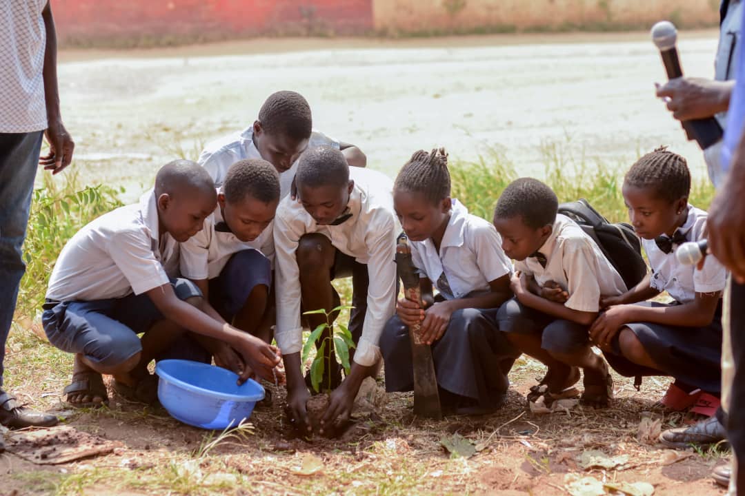 Kasaï oriental : Célébration de la Journée Mondiale de l’Environnement, la population invitée à planter au moins un arbre pour protéger l’environnement