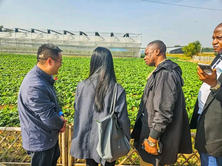 Kasaï oriental : Jean Paul Mbwebwa s’inspire de l’agriculture chinoise pour révolutionner le secteur agricole