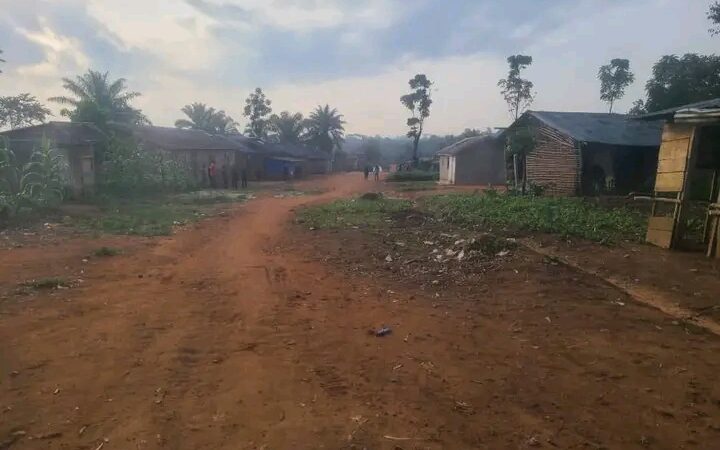 Ituri : deux civils tués et trois enfants blessés dans une attaque des ADF à Idohu