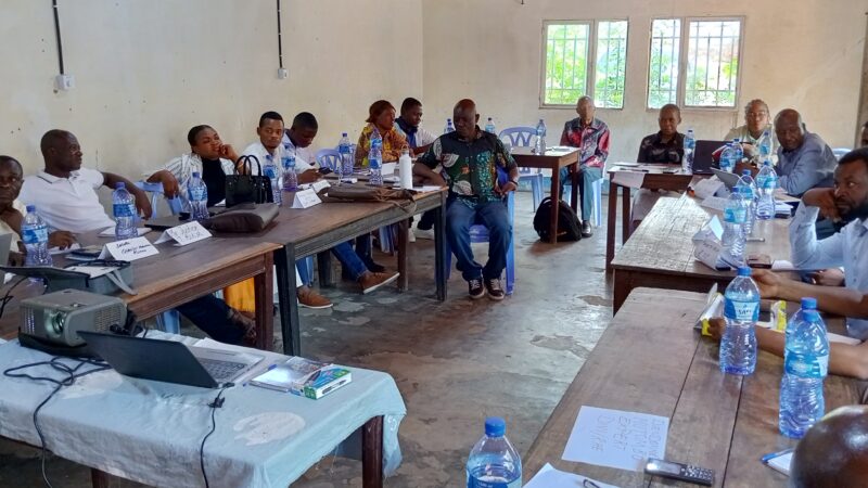 Planification énergétique inclusive et intersectorielle : le CRONGD lance une formation des acteurs clés du secteur énergétique