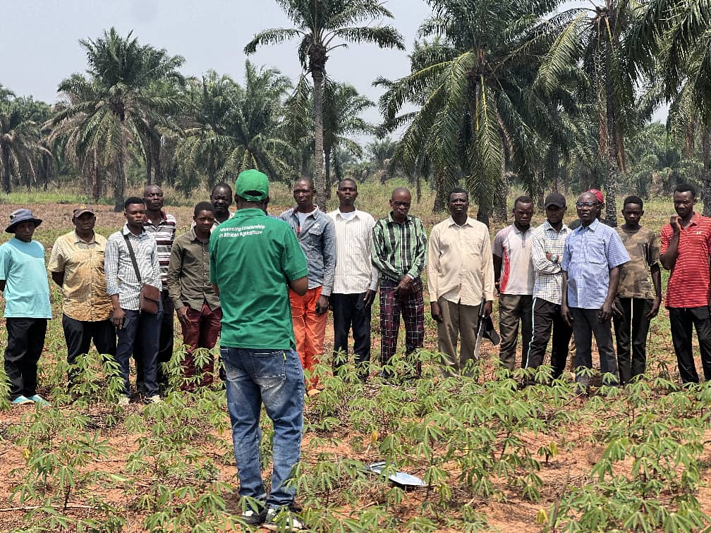 Kasaï oriental : les producteurs de manioc de Tshilenge appelés à adopter des pratiques adaptées à la sécheresse